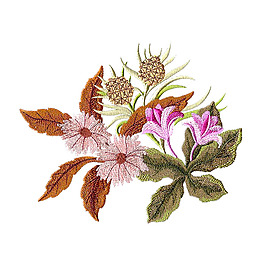 繡花 植物 花朵 免費素材