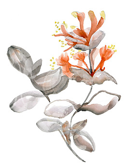 位圖 寫意花卉 植物 花朵 免費(fèi)素材