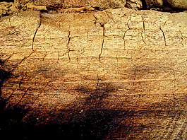 antique_background