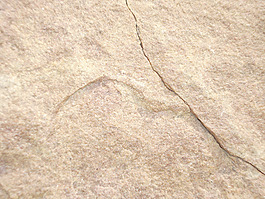 hard_rock