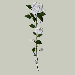 繡花 植物 花朵 免費(fèi)素材