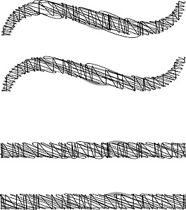 手绘字体矢量插画