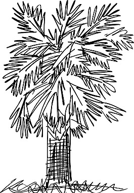 摘要棕櫚樹矢量插畫草圖