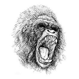 位圖 插畫 時(shí)尚插畫 動(dòng)物插畫 藝術(shù)效果 免費(fèi)素材