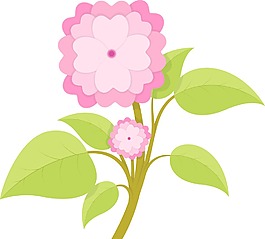 粉紅色的花分公司