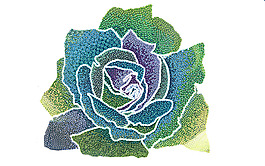 燙鉆 植物 花朵 免費(fèi)素材