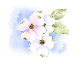 位圖 植物 寫意花卉 花朵 免費(fèi)素材