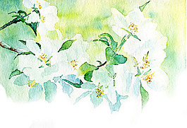 位圖 植物 寫意花卉 花朵 免費(fèi)素材