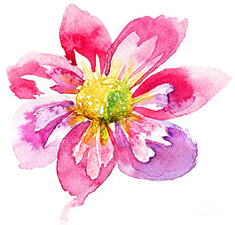 位圖 植物 寫意花卉 花朵 免費(fèi)素材