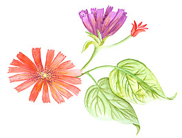 位圖 寫意花卉 植物 花朵 免費(fèi)素材