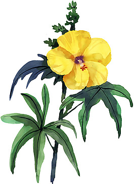 位圖 寫意花卉 植物 花朵 免費(fèi)素材