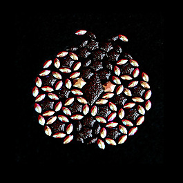 燙鉆 動(dòng)物 昆蟲 甲殼蟲 免費(fèi)素材