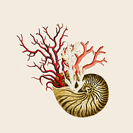 位圖 插畫 時尚插畫 插畫師 Graphicals 免費素材