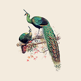位圖 插畫 時尚插畫 動物插畫 插畫師 免費素材