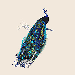 位圖 插畫 時尚插畫 動物插畫 插畫師 免費(fèi)素材