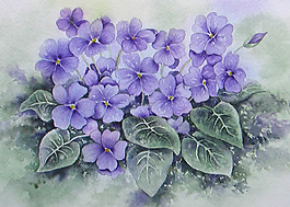 位圖 植物 寫意花卉 花朵 免費素材