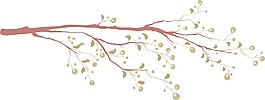 枝向量元素