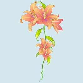 印花矢量圖 T恤圖案 植物 花朵 色彩 免費(fèi)素材