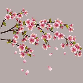 印花矢量圖 T恤圖案 植物 花朵 立體 免費素材