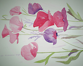 位圖 植物 寫意花卉 花朵 免費素材
