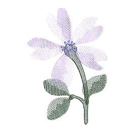 繡花 植物 花朵 免費(fèi)素材
