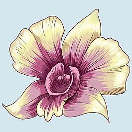 印花矢量圖 T恤圖案 植物 花朵 色彩 免費素材