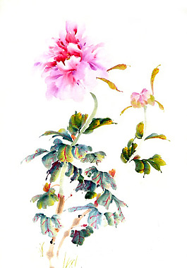 位圖 植物 寫意花卉 花朵 免費素材