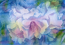 位圖 植物 寫意花卉 花朵 免費(fèi)素材