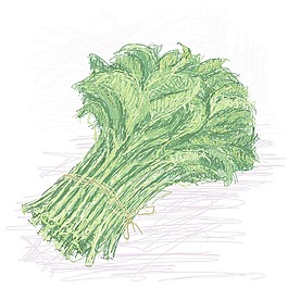 kangkong