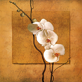 位圖 插畫 時尚插畫 植物插畫 藝術(shù)效果 免費素材