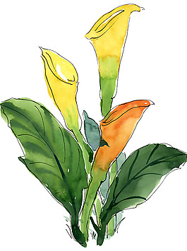 位圖 植物 寫(xiě)意花卉 花朵 免費(fèi)素材