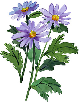 位圖 植物 寫意花卉 花朵 免費素材