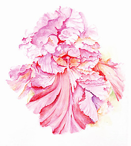 位圖 植物 寫意花卉 花朵 免費(fèi)素材