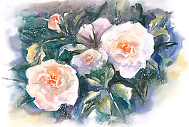 位圖 植物 寫意花卉 花朵 免費素材