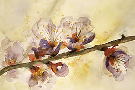 位圖 植物 寫意花卉 花朵 免費素材