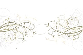 花卉矢量