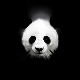 位圖 插畫(huà) 時(shí)尚插畫(huà) 動(dòng)物插畫(huà) 藝術(shù)效果 免費(fèi)素材
