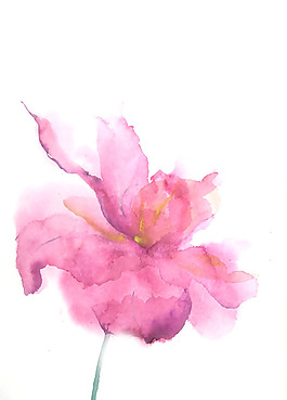 位圖 植物 寫意花卉 花朵 免費(fèi)素材