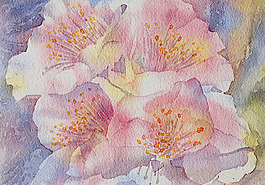 位圖 植物 寫意花卉 花朵 免費素材