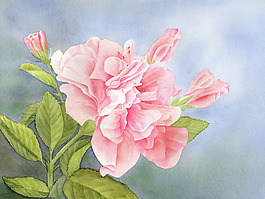 位圖 植物 寫意花卉 花朵 免費素材