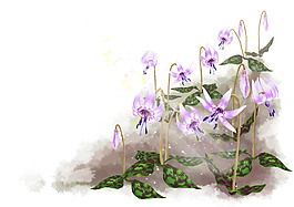 位圖 PSD 植物 寫意花卉 花朵 免費(fèi)素材