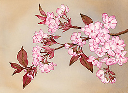 位圖 植物 寫(xiě)意花卉 花朵 免費(fèi)素材