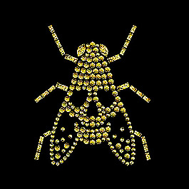 燙鉆 動物 昆蟲 知了 免費(fèi)素材