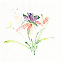 位圖 植物 寫意花卉 花朵 免費(fèi)素材