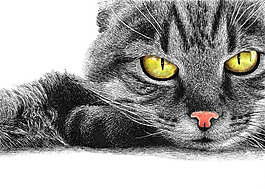位圖 插畫 時尚插畫 動物插畫 藝術(shù)效果 免費素材