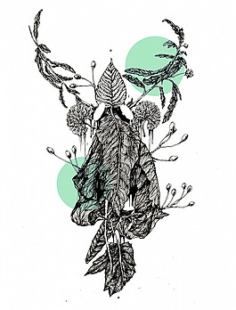 位圖 插畫 時尚插畫 植物插畫 插畫師 免費(fèi)素材