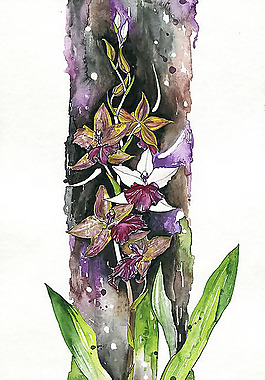 位圖 植物 寫意花卉 花朵 免費(fèi)素材