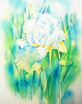 位圖 植物 寫(xiě)意花卉 花朵 免費(fèi)素材