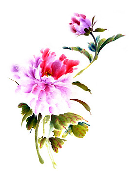 位圖 植物 寫意花卉 花朵 免費(fèi)素材