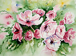 位圖 植物 寫意花卉 花朵 免費素材